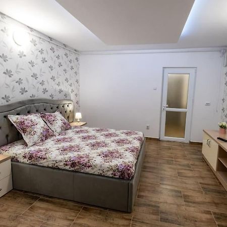 Luxury Radox Apartment Park 1 Bz ブザウ エクステリア 写真