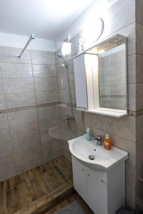 Luxury Radox Apartment Park 1 Bz ブザウ エクステリア 写真